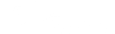 SaaSina Logo